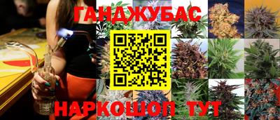 каннабис Будённовск