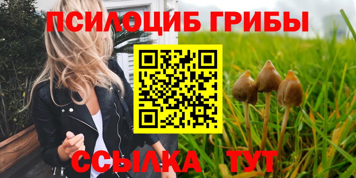 Орск  Псилоцибиновые грибы Magic Shrooms  Вход с VPN 